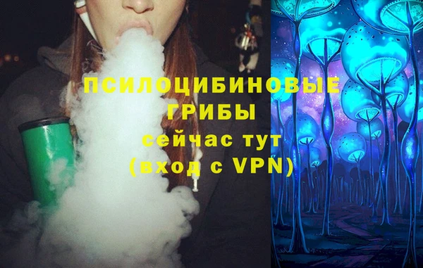 спиды Алексин