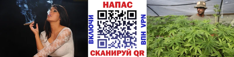 закладки  Людиново  Бошки Шишки конопля 